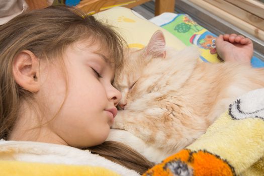 A girl and a cat are sleeping sweetly in bed, close-up