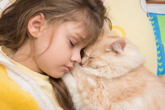 A girl and a cat sweetly sleep in bed, burying each other