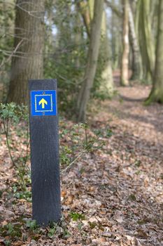 Walking route called Komiezenpad nearby the village Winterswijk on the border of the Netherlands and Germany. The komiezenpaden were used in the past by border police and smugglers. Now this are beautiful green hiking trails on and around the national border in the hamlet called Achterhoek.
