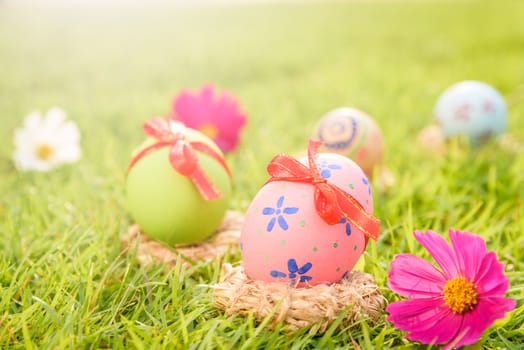 Happy easter!  Closeup Colorful Easter eggs in nest on green grass field during sunset background.