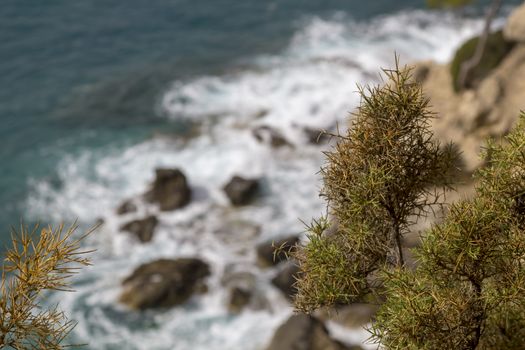 Overhead View Ocean and Rocky Cliff with wave