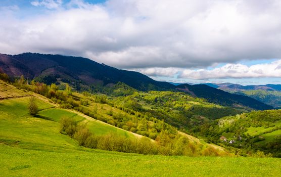 grassy fields in mountainous rural area. lovely springtime scenery on a cloudy day