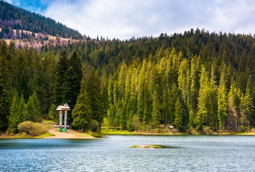 Synevyr lake among the forest in beautiful light. gorgeous springtime scenery in Carpathian mountains. popular tourist destination in Carpathian mountains