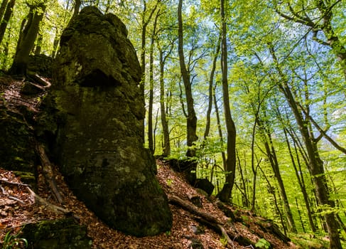 rocky formation among the green forest. mysterious place looks like stone idol. lovely place in wild woods