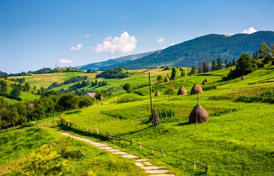 beautiful countryside in summertime. haystack on grassy hillsides of Carpathian mountain