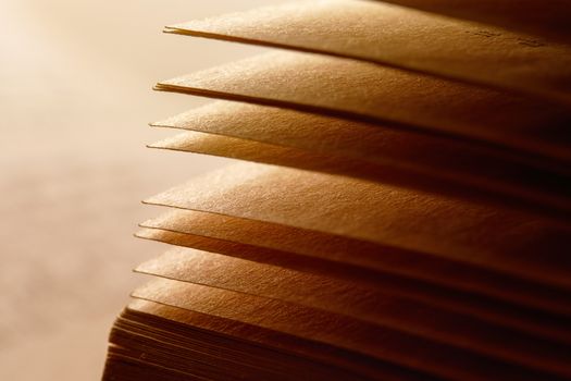 close-up of a book pages in a warm light