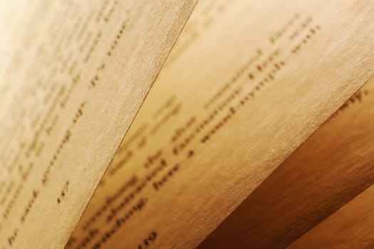 close-up of a book pages in a warm light
