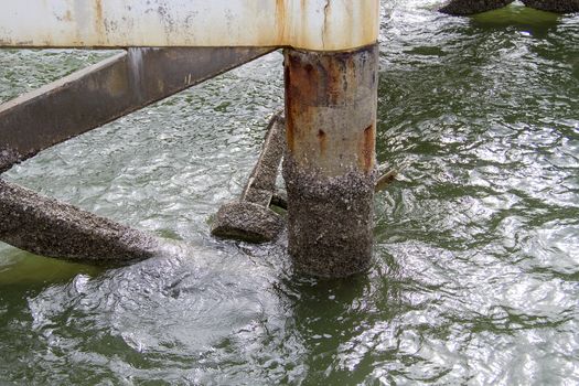 Cement pillars in water