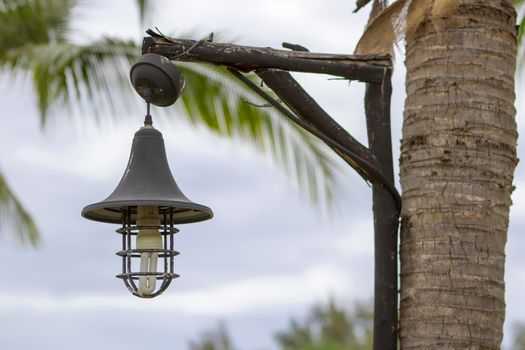 Black electric lamp next to the coconut tree