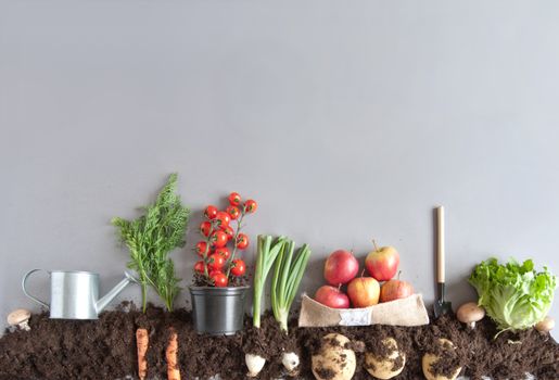 Fruits and vegetables growing in compost including carrots, mushrooms, potatoes and lettuce