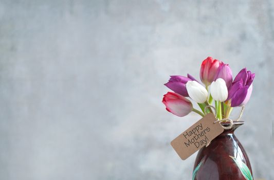 Mothers day gift label attached to selection of tulip flowers in a pot