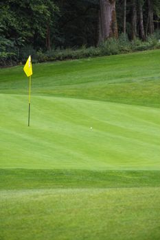 Golf flag on the green grass field close up