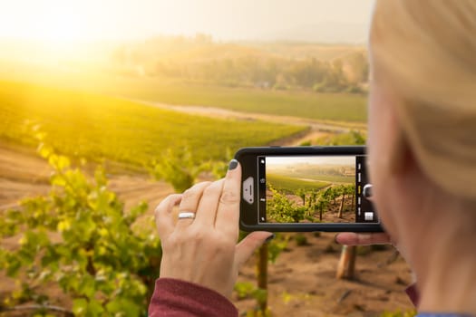 Woman Taking Pictures of A Grape Vineyard with Her Smart Phone.
