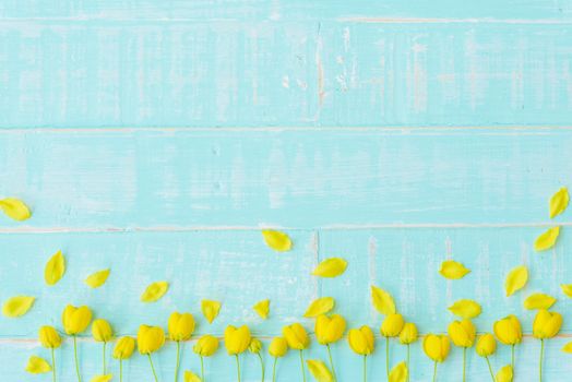 Yellow Flowers on a pastel bright blue wooden background. Spring and summer concept.