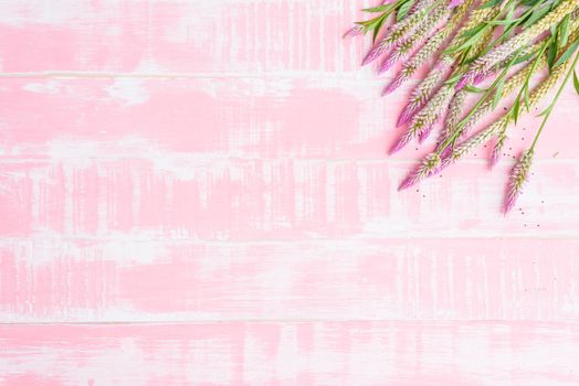 Flowers on a pastel bright pink wooden background. Spring and summer concept.