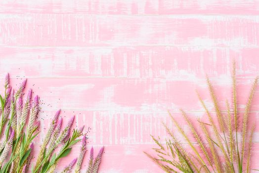 Flowers on a pastel bright pink wooden background. Spring and summer concept.