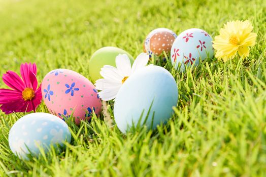 Happy easter!  Closeup Colorful Easter eggs on green grass field during sunset background.