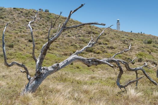 Bathurst Lighthouse, Rottnest Island, Western Australia