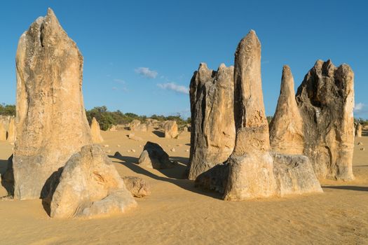 Pinnacles Desert in early morning light, Nambung National Park, Western Australia