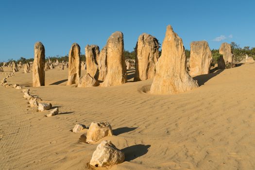 Pinnacles Desert in early morning light, Nambung National Park, Western Australia