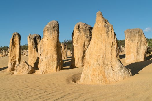 Pinnacles Desert in early morning light, Nambung National Park, Western Australia