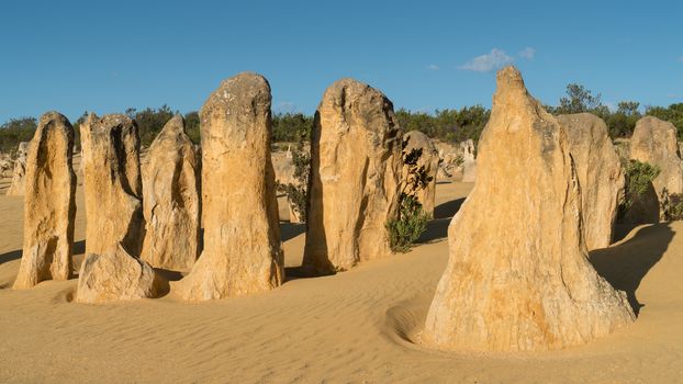 Pinnacles Desert in early morning light, Nambung National Park, Western Australia