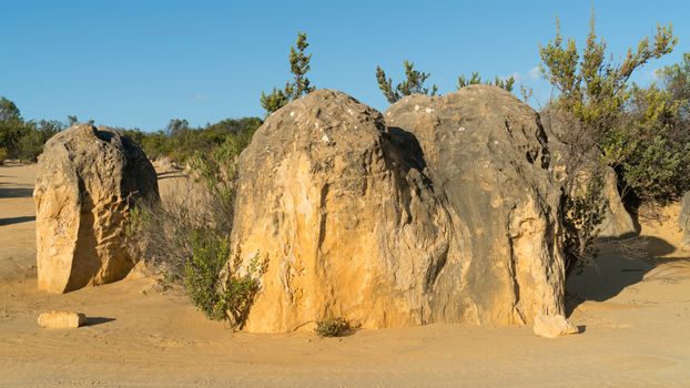 Pinnacles Desert in early morning light, Nambung National Park, Western Australia