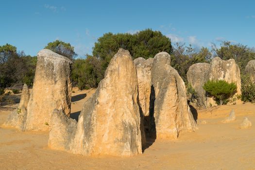 Pinnacles Desert in early morning light, Nambung National Park, Western Australia