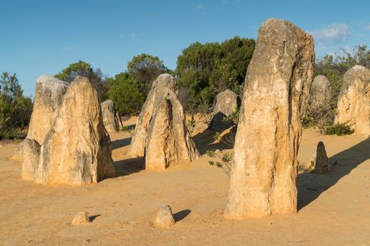 Pinnacles Desert in early morning light, Nambung National Park, Western Australia