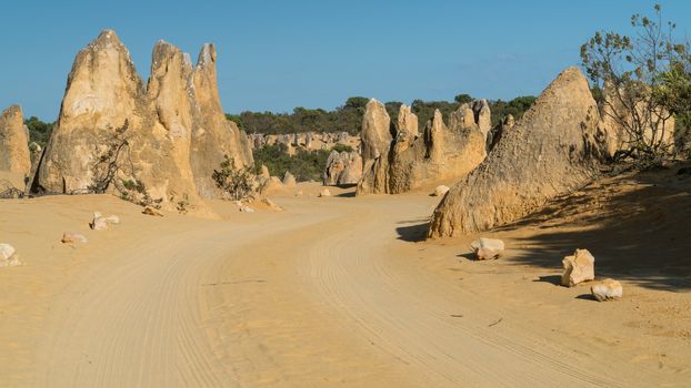 Pinnacles Desert in early morning light, Nambung National Park, Western Australia