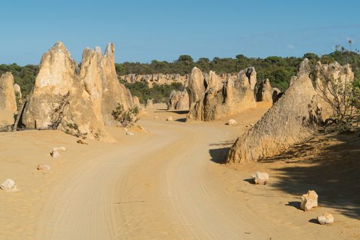 Pinnacles Desert in early morning light, Nambung National Park, Western Australia