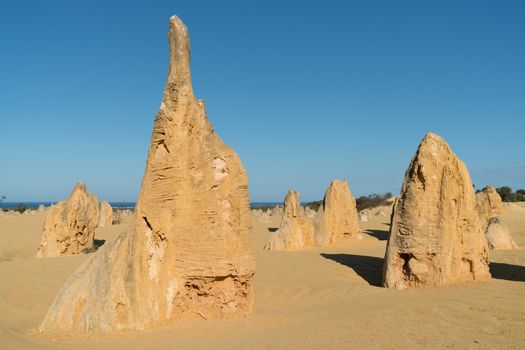 Pinnacles Desert in early morning light, Nambung National Park, Western Australia