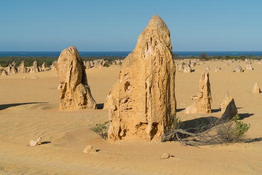 Pinnacles Desert in early morning light, Nambung National Park, Western Australia