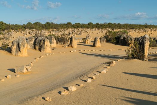Pinnacles Desert in early morning light, Nambung National Park, Western Australia