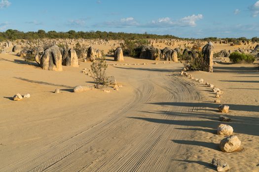 Pinnacles Desert in early morning light, Nambung National Park, Western Australia