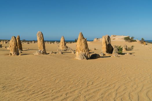 Pinnacles Desert in early morning light, Nambung National Park, Western Australia