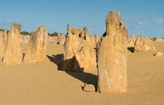 Pinnacles Desert in early morning light, Nambung National Park, Western Australia