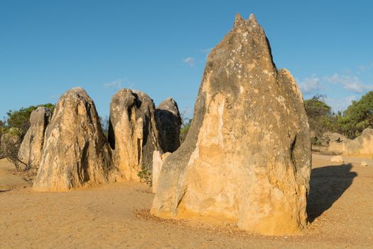 Pinnacles Desert in early morning light, Nambung National Park, Western Australia