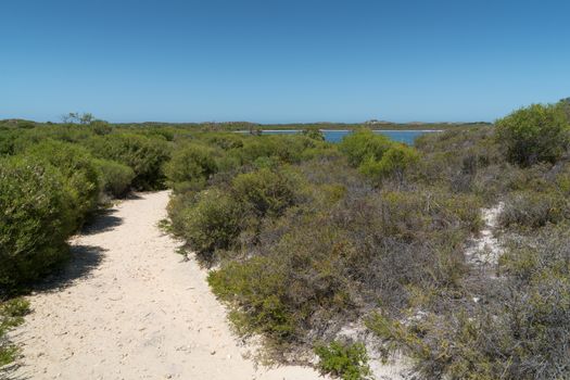 Trekking trail close to lake Thetis in the Nambung National Park, Western Australia