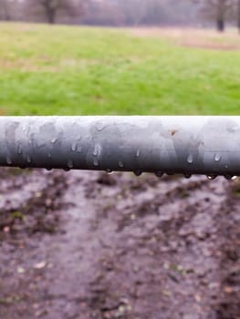 rain drops water hanging on metal gate close up; essex; england; uk