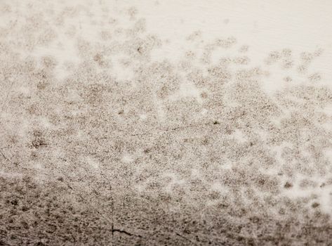 close up texture of mould fungus black spotted growing on wall white; essex; england; uk