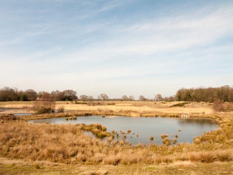 beautiful spring summer golden lake view field scene nature reserve sky landscape; essex; england; uk