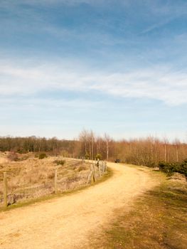 beautiful spring summer golden lake view field scene nature reserve sky landscape walkway; essex; england; uk