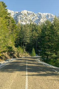 beautiful country road in the forest, Antalya