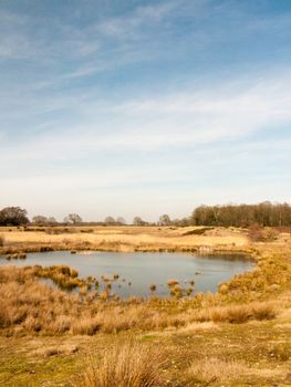 beautiful spring summer golden lake view field scene nature reserve sky landscape; essex; england; uk