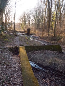 running creak of water through forest woodland with wall nature landscape; essex; england; uk