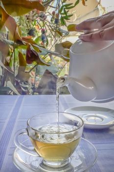 Pouring hot tea from teapot into a cup on background of nature