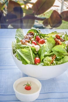 fresh organic salad in white bowl served with cream sauce