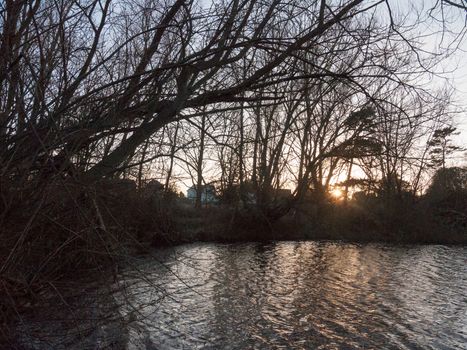 lake surface outside sunset nature landscape background trees hanging ripples; essex; england; uk