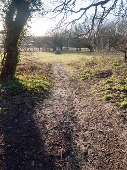 walkway path muddy through field and forest uk sun light glare; essex; england; uk